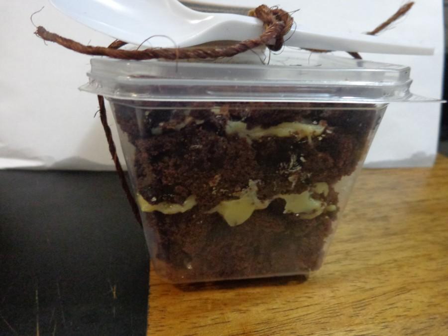 Brownieria da Niane